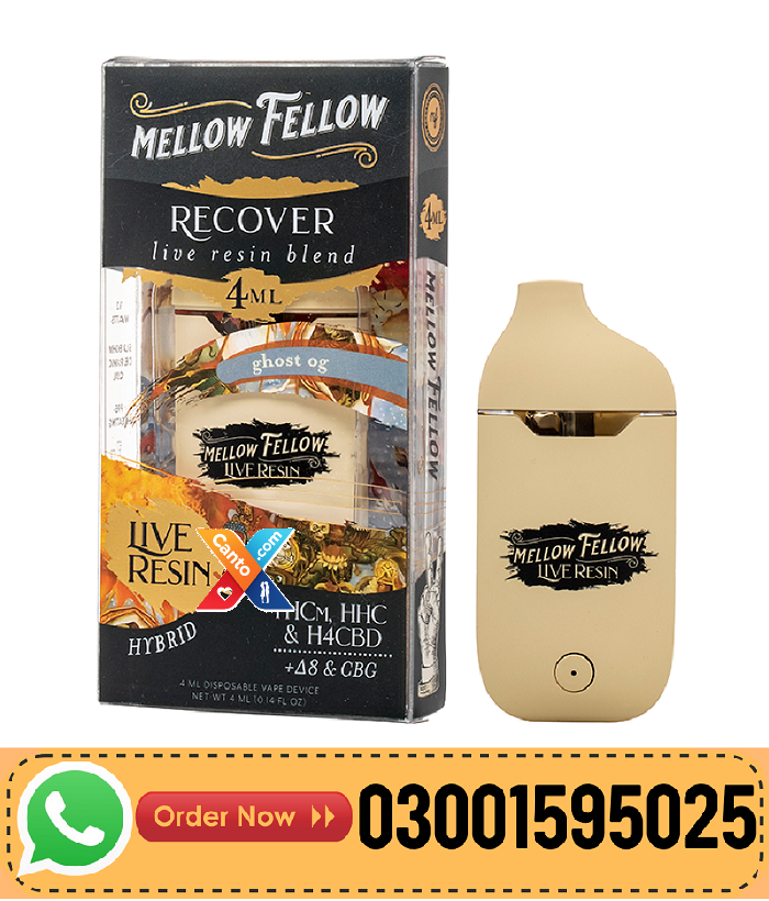 Mellow Fellow Austin Creativity Terp Sauce Blend Disposable 5G In Gwardar – 03001595025
